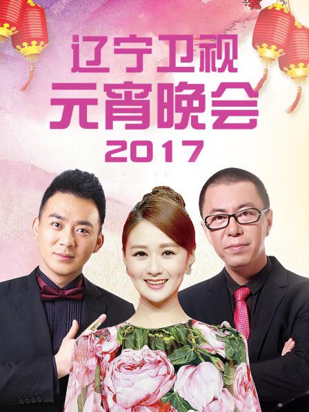 辽宁卫视元宵晚会 2017高清海报