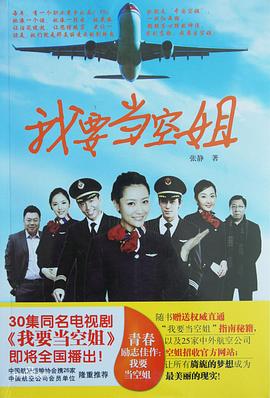 我要当空姐高清海报