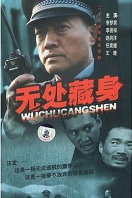 无处藏身2008高清海报