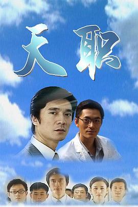 天职2009高清海报