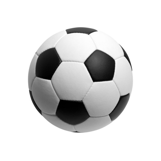 12月16日 23-24赛季法甲第16轮 摩纳哥VS里昂