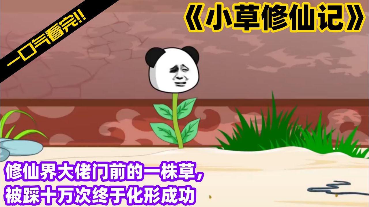 小草修仙记高清海报