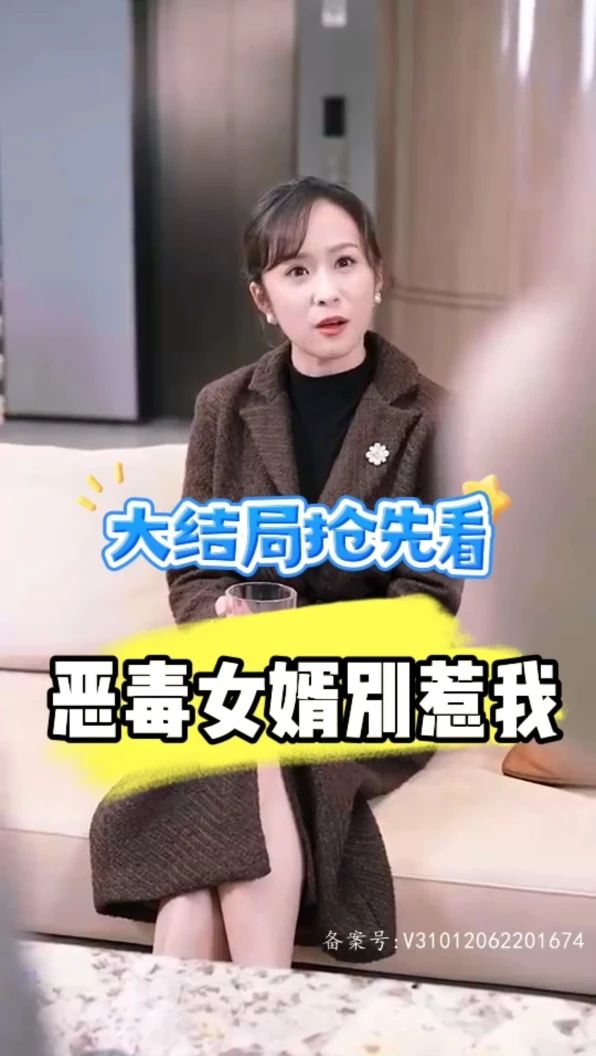 恶毒女婿别惹我高清海报