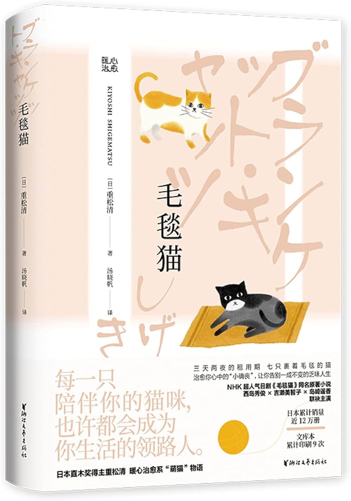 毛毯猫高清海报