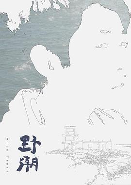 野潮高清海报